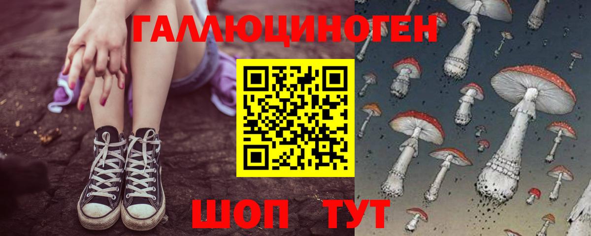 Псилоцибиновые грибы Magic Shrooms Выборг